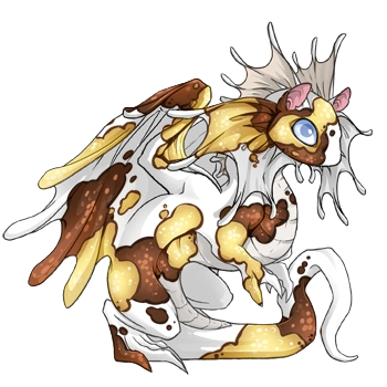 Banana Koi on a hatchling Fae