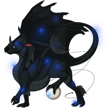 Ultramarine Firefly on a male Pearlcatcher