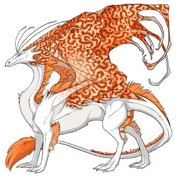 Cantaloupe Hypnotic on a male Skydancer