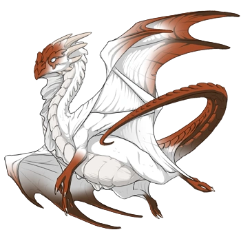 Copper Points on a male Nocturne