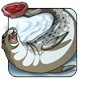 Spotted Seal - Coarsefur Yeti