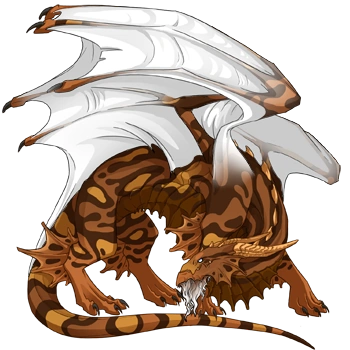 Ginger Swirl on a male Guardian