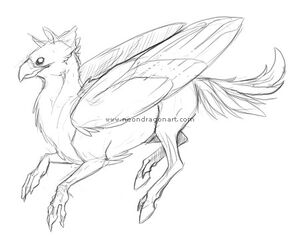 buckbeak coloring pages