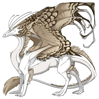 Beige Peregrine on a male Skydancer