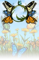 Butterflies