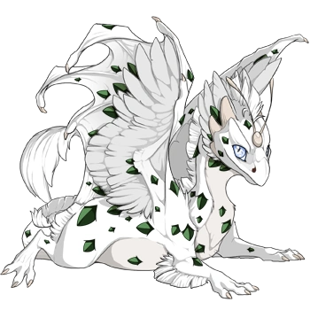 Jungle Keel on a hatchling Skydancer