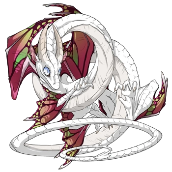 Watermelon Butterfly on a male Spiral