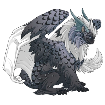 Flint Laced on a male Tundra