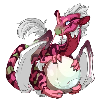 Watermelon Swirl on a hatchling Pearlcatcher