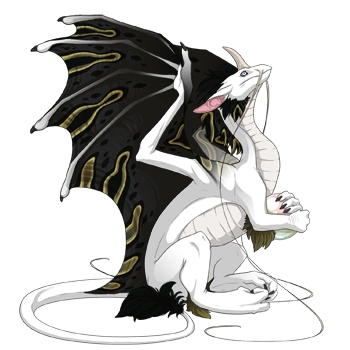 Moss Sarcophagus on a female Pearlcatcher