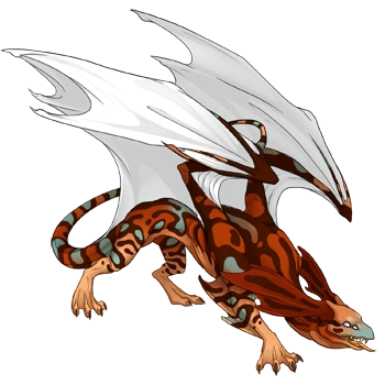 Terracotta Swirl on a male Mirror