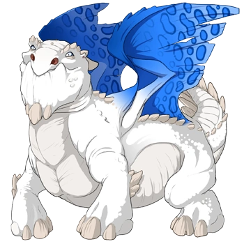 Lapis Clouded on a male Snapper