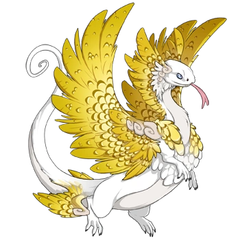 Yellow Edged on a male Coatl