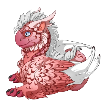 Blush Laced on a hatchling Tundra