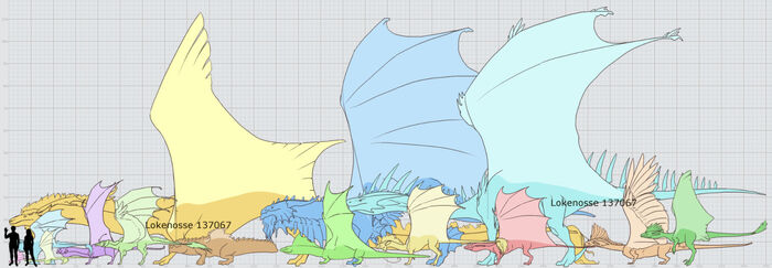 Lokenosse Dragon Breed Size Chart