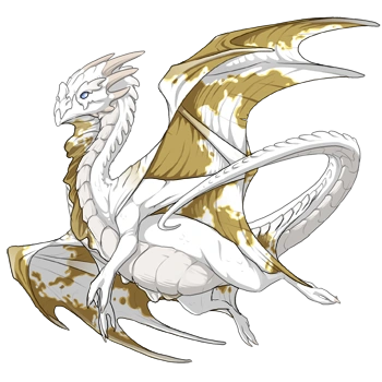 Paint on a male Nocturne