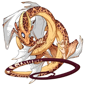 Peach Jaguar on a male Spiral