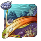 Regal Firefish - Regal Silkmith