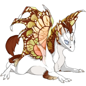 Grapefruit Butterfly on a hatchling Skydancer