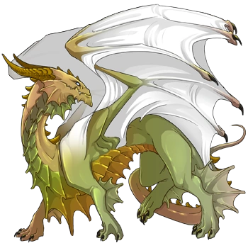 Goldenrod Iridescent on a female Guardian