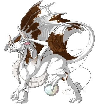 Paint on a male Pearlcatcher