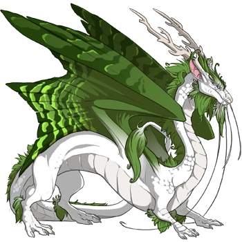 Avocado Peregrine on a male Imperial