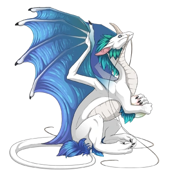 Splash Shimmer on a female Pearlcatcher