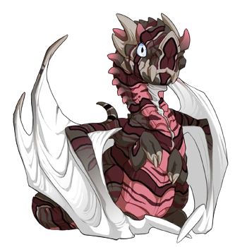 Slate Lionfish on a hatchling Nocturne