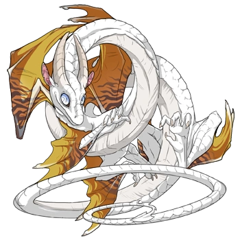 Metals Safari on a male Spiral