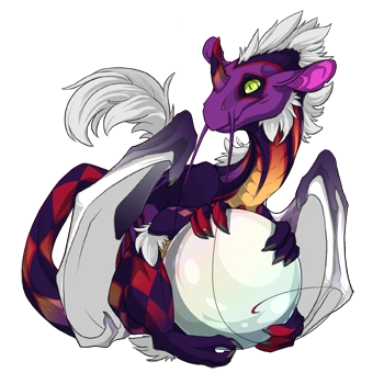 Plum Harlequin on a hatchling Pearlcatcher