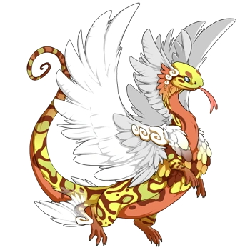 Grapefruit Swirl on a male Coatl