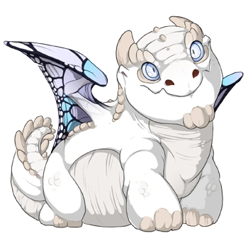 Orca Butterfly on a hatchling Snapper