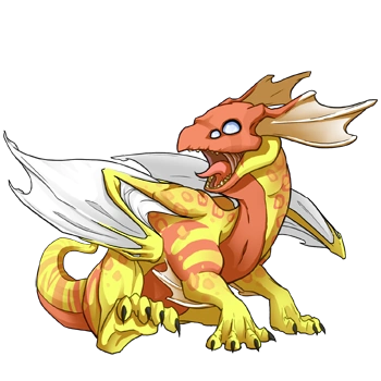 Grapefruit Clown on a hatchling Mirror