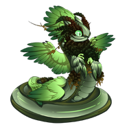 Auraboa hatchling