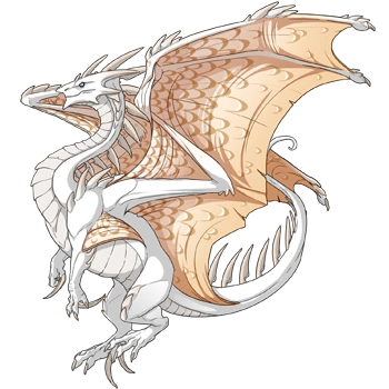 Cream Edged on a female Ridgeback