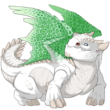 Seafoam Rosette on a female Snapper