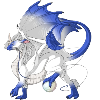 Periwinkle Points on a male Pearlcatcher