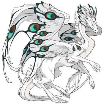 Copper Peacock on a female Skydancer