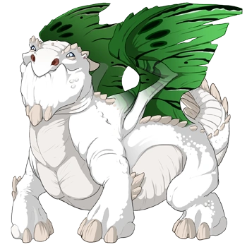 Shamrock Noxtide on a male Snapper