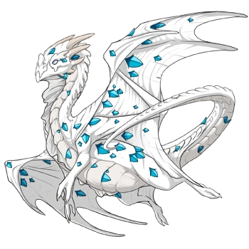 Cerulean Keel on a male Nocturne
