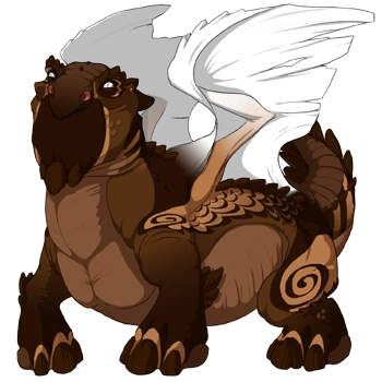 Chocolate Cherub on a male Snapper