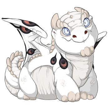 Shale Peacock on a hatchling Snapper