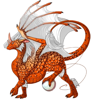 Carrot Laced on a male Pearlcatcher