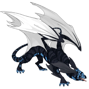 Midnight Lionfish on a male Mirror