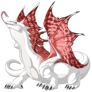 Blush Peregrine on a male Bogsneak