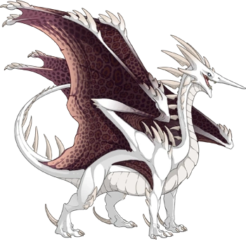 Clay Rosette on a male Ridgeback