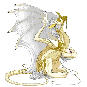 Maize Clown on a female Pearlcatcher