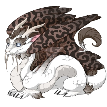 Slate Hypnotic on a hatchling Imperial