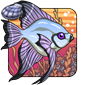 Longfin Angelfish - Wolpertinger