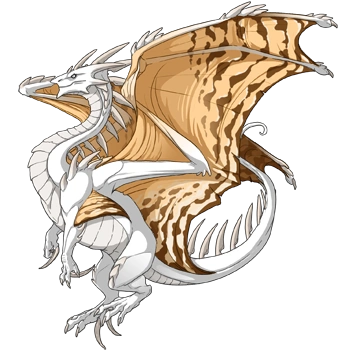 Ivory Peregrine on a female Ridgeback